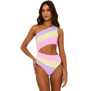 Beach Riot Womens Size Large Joyce One Piece Colorblock Cut Out Swimsuit NWT